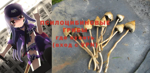 кокаин премиум Верея