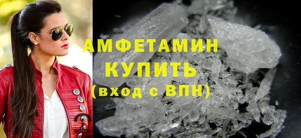 индика Волоколамск