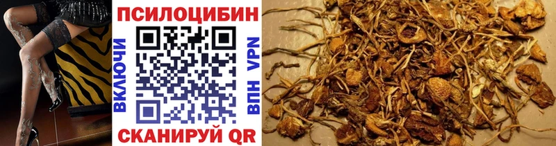 Псилоцибиновые грибы прущие грибы  Лихославль 